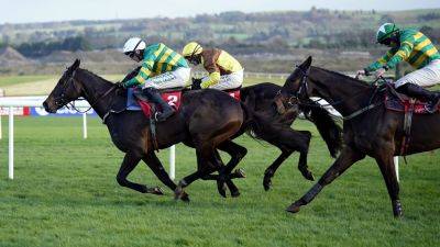Willie Mullins - Mullins: Fact To File could be added to King George field - rte.ie - county King George - county Cross - county Chase