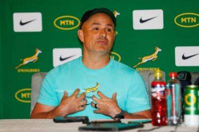 Jaco Peyper put in charge of SA Rugby's new elite referees' panel - news24.com - South Africa