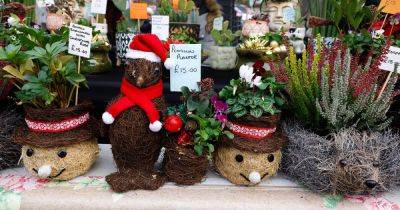 The best alternative Christmas markets to visit in Greater Manchester