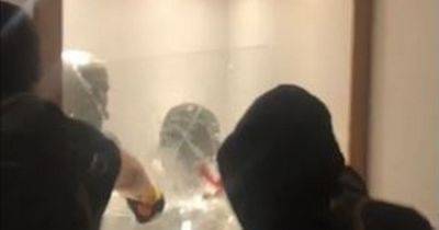 University boss speaks out after Palestine Action protesters steal statues of Israeli president