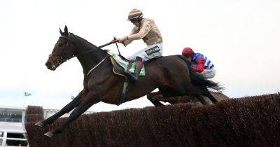 Bay - Garry Owen - Newbury Gold Cup tips as Broadway Boy napped for glory by Garry Owen - dailyrecord.co.uk