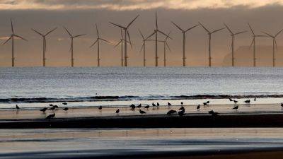 Sweden rejects applications for thirteen offshore wind farms, citing security concerns