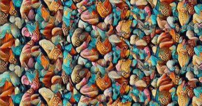 Creepy optical illusion leaves people baffled after staring at it for just a few seconds - manchestereveningnews.co.uk