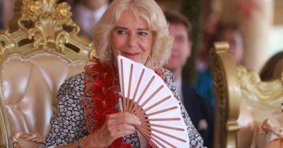 Buckingham Palace makes announcement about the Queen's health as she 'withdraws from engagements'