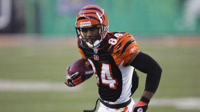 Gregory Shamus - Bengals legend pours cold water on team's hot streak: 'Let’s do this against the good teams' - foxnews.com - New York - county Eagle - county Brown - county Cleveland