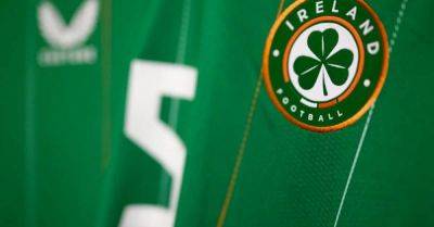 'Loyal' supporter successfully sues the FAI after losing €1,091 due to Ireland away match fixture change
