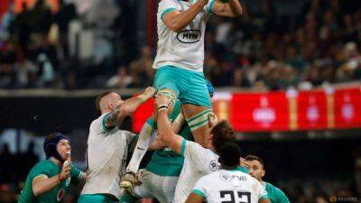 Grant Williams - Eben Etzebeth - Rassie Erasmus - Franco Mostert - Marco Van-Staden - Springboks make 11 changes to starting team for Scotland test - channelnewsasia.com - France - Scotland - Argentina - South Africa