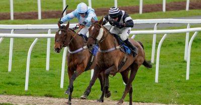 Sunday Racing tips and best bets for Fairyhouse, Carlisle and Leicester as 3 key questions answered