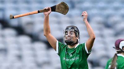 Serial finalists Sarsfields to meet Clare's Truagh-Clonlara in club camogie decider - rte.ie - Ireland