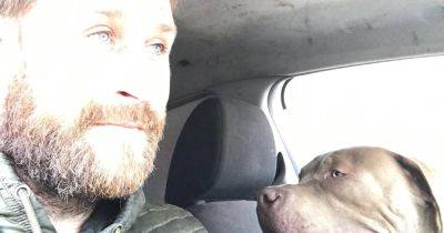 XL Bully mauls girl causing 'horrific' wound as owner 'seemed unbothered'