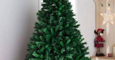 Wayfair slashes 'luxurious' five-star rated 7ft Christmas tree to under £48