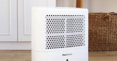 Debenhams' 'powerful' dehumidifier that dries clothes and combats condensation now less than £100