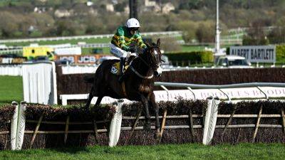 Willie Mullins - Patrick Mullins - Willie Mullins team set to unleash Majborough over fences at Fairyhouse - rte.ie - Ireland