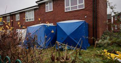 Man in his 20s in 'serious' condition in hospital after stabbing horror