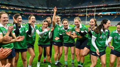 McGraths lead Sarsfields to dominant final success - rte.ie - Ireland