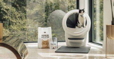 Cat owners praise 'game changer gadget' for keeping houses clean and 'odour free' - manchestereveningnews.co.uk