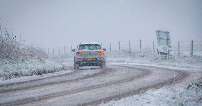 AA and RAC say one essential summer item MUST stay in your car this winter