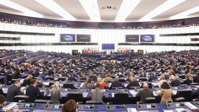 Gay - New European Parliament intergroups: What’s in and What’s Out - euronews.com