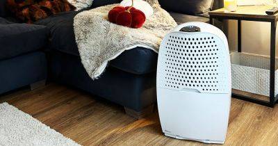 Why a dehumidifier could be the key to reducing your household costs