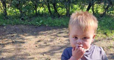 Tragedy of boy, 2, who died in 'horrific accident' in his living room as he danced to Cocomelon - manchestereveningnews.co.uk - county Fisher
