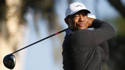 Tiger Woods - Nick Faldo - Annika Sorenstam - Tiger 'not competitive' as he prepares to make return - rte.ie