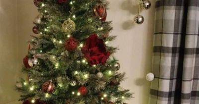 Christmas ruined for family after heartless thieves steal everything from under tree