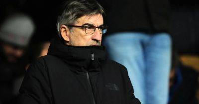 Russell Martin - Timothy Castagne - Aaron Ramsdale - Raul Jimenez - Alex Iwobi - Calvin Bassey - Ivan Juric - Antonee Robinson - Tyler Dibling - Southampton - New Southampton boss Ivan Juric watches goalless stalemate at Fulham - breakingnews.ie - Usa