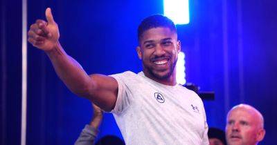Anthony Joshua - Tyson Fury - Lennox Lewis - Mike Tyson - Floyd Mayweather - Oscar De-La-Hoya - Manny Pacquiao - Gypsy King - Ricky Hatton - Evander Holyfield - Nigel Benn - David Haye - The iconic boxer who's worth more than Tyson Fury and Anthony Joshua combined - manchestereveningnews.co.uk - Britain