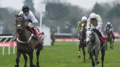 Nicky Henderson - Willie Mullins - Nico De-Boinville - Harry Redknapp - Constitution Hill back with a bang in Christmas Hurdle - rte.ie - Ireland
