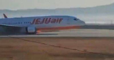 Horror moment Jeju Air plane bursts into flames killing 177 people