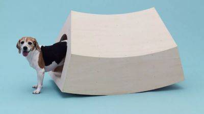 In the doghouse: Architecture for Dogs exhibition opens at Milan’s ADI Design Museum - euronews.com - Italy