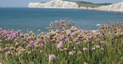 UK island is the sunniest place in the UK with more winter sun than Italy or France