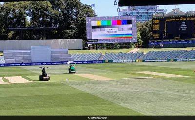 Australia's "6mm Grass Plan" To Beat India In Adelaide Test, Pitch Curator's Big Revelation