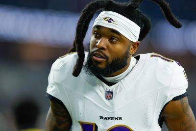 Diontae Johnson Is Acting Like A Nuisance On Ravens, Which Led To Suspension