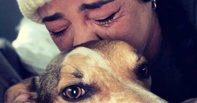 400 animals to be put down over noise complaints - manchestereveningnews.co.uk