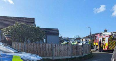 Emergency services scrambled after plane 'crashes into garden' in Anglesey