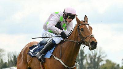 Paddy Power - Willie Mullins - Paul Townend - Allegorie De Vassy on the Festival path after Naas victory - rte.ie - Ireland