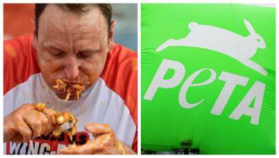 PETA Doesn't Want You To Eat Wings During The Super Bowl