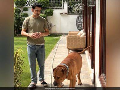 Gautam Gambhir - "Coming Back Home Will Never Be Same": Gautam Gambhir On Loss Of Pet Dog - sports.ndtv.com - Australia - India