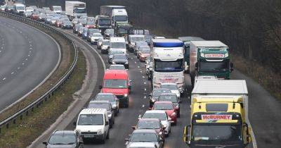 Drivers warned about habit which causes 10,000 RSPCA reports a year
