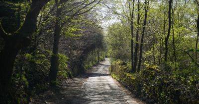 Popular Manchester cafe in green spot popular with walkers claim they have been served notice by landlord - manchestereveningnews.co.uk