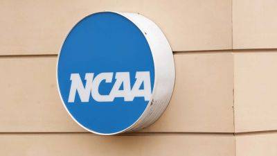 NCAA punishes former Division III women's basketball coach for gambling on college, pro sports