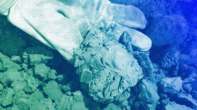 International - Euroviews. Norway made a mistake in its decision to move towards deep-sea mining - euronews.com - France - Norway