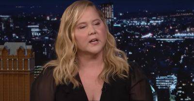 Amy Schumer shares health update in response to online comments about her face - manchestereveningnews.co.uk - Usa - Instagram