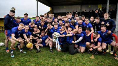 Mary Immaculate College dethrone local rivals University of Limerick to win Fitzgibbon Cup - rte.ie - Britain