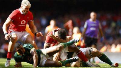 Wales to play South Africa in June ahead of Australia tour