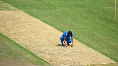 "There Are Cracks": India Coach's Honest Review Of Pitch For Ranchi Test