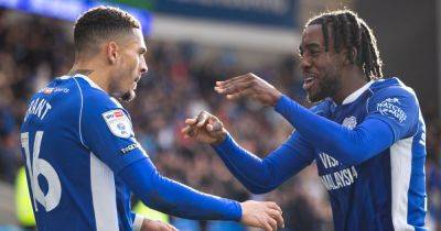 Cardiff City 2-1 Stoke City: Bluebirds end home goal drought to see off struggling Potters