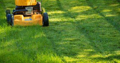 'Little-known' lawn mower tip will make your grass grow 'thick and healthy' by summer