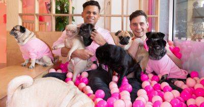 Greater Manchester is getting its first ever pug café with a huge ball pit and dog-themed cakes